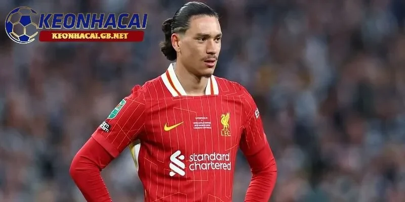 Darwin Nunez là mục tiêu hàng đầu của Napoli và Atletico Madrid trong mùa hè tới