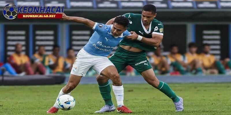 Soi kèo nhà cái Palmeiras vs Porto Soi kèo nhà cái Palmeiras vs Porto