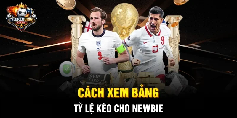 Cách xem bảng tỷ lệ kèo cho newbie