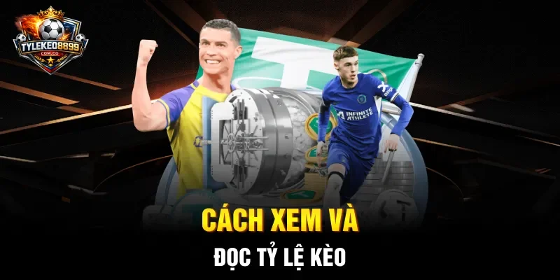 Cách xem và đọc tỷ lệ kèo 