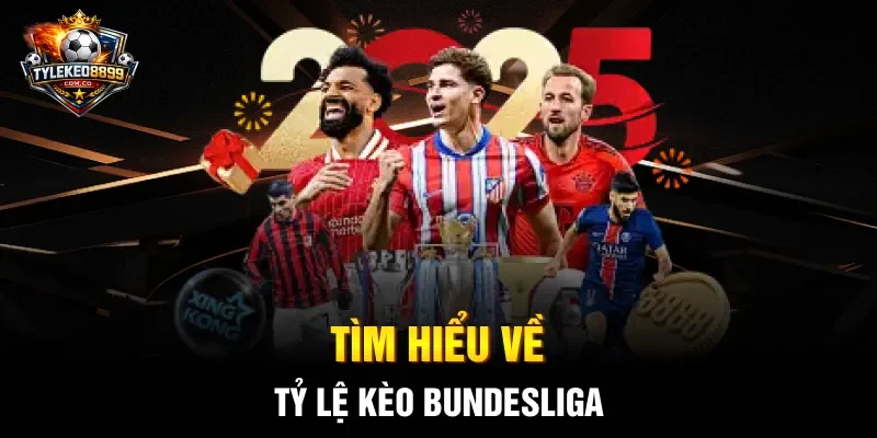 Tìm hiểu về tỷ lệ kèo Bundesliga