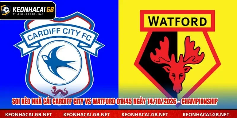 Soi kèo nhà cái Cardiff City vs Watford