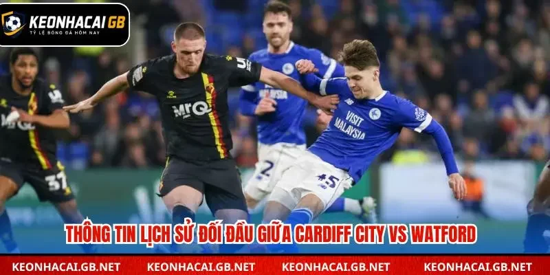 Thống kê các lần đối đầu giữa Cardiff City và Watford